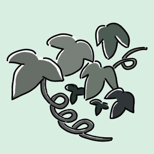 ぶどうの葉っぱのイラスト