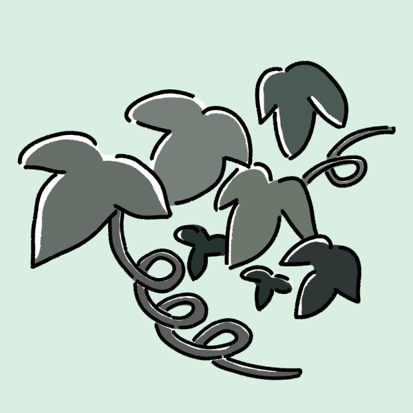 ぶどうの葉っぱのイラスト